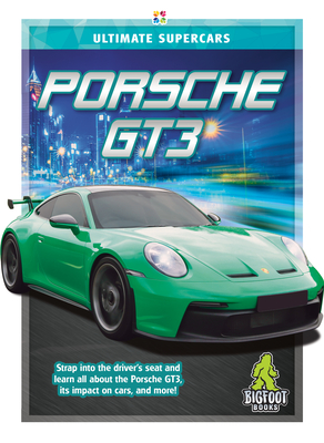 Porsche Gt3 - Joanne Mattern