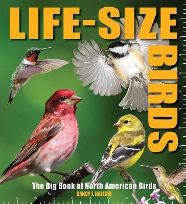 Life-Size Birds: The Big Book of North American Birds - Nancy J. Hajeski