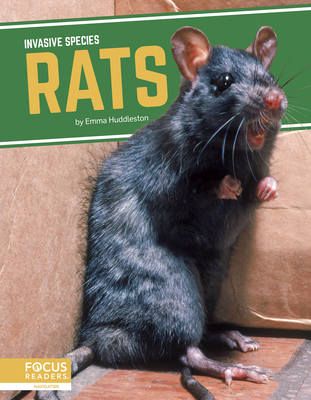 Rats - Emma Huddleston