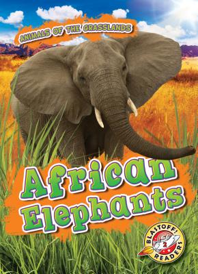 African Elephants - Kaitlyn Duling