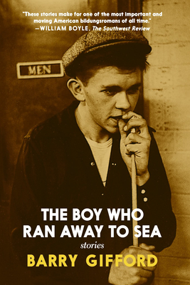 The Boy Who Ran Away to Sea - Barry Gifford