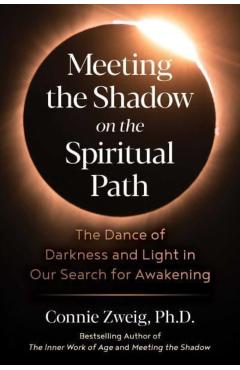 Meeting the Shadow on the Spiritual Path: The Dance of Darkness and Light in Our Search for Awakening - Connie Zweig