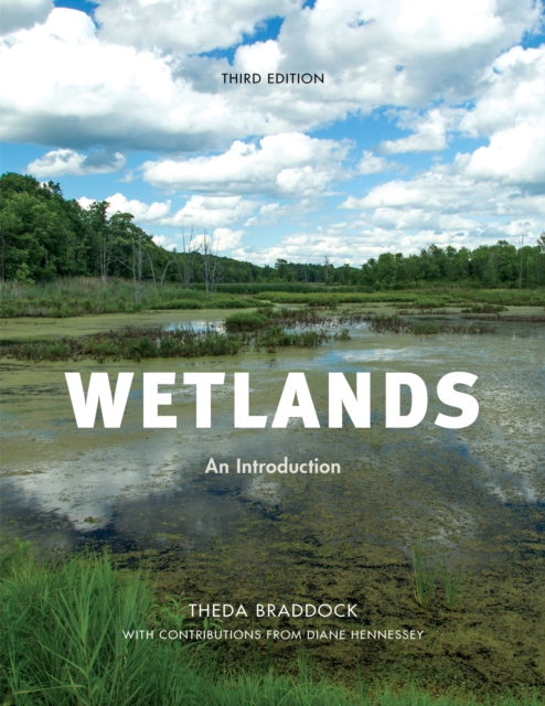 Wetlands: An Introduction, Third Edition - Theda Braddock