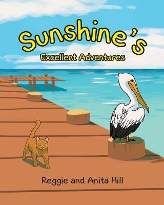 Sunshine's Excellent Adventures - Reggie And Anita Hill