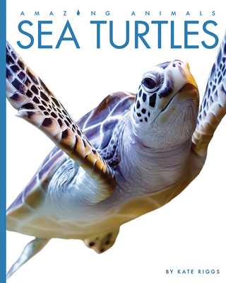 Sea Turtles - Kate Riggs