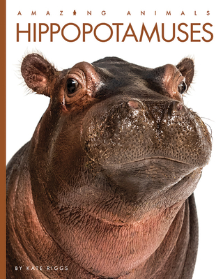 Hippopotamuses - Kate Riggs