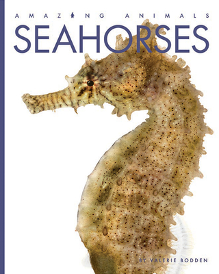Seahorses - Valerie Bodden
