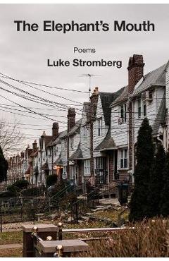 Coperta cărții 'The Elephant's Mouth - Luke Stromberg'