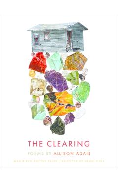 Coperta cărții 'Max Ritvo Poetry Prize: Poems - Adair Allison'