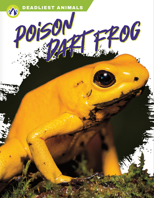 Poison Dart Frog - Golriz Golkar