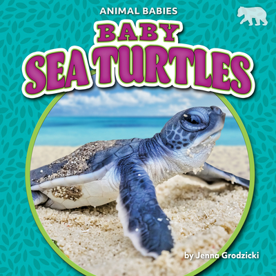 Baby Sea Turtles - Jenna Grodzicki