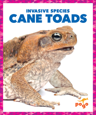 Cane Toads - Alicia Z. Klepeis