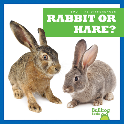 Rabbit or Hare? - Jamie Rice