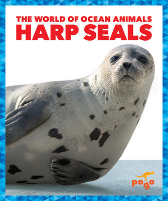 Harp Seals - Mari C. Schuh