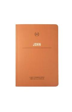 Coperta cărții 'Lsb Scripture Study Notebook: John - Steadfast Bibles'