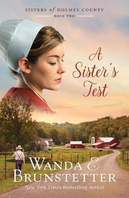 A Sister's Test: Volume 2 - Wanda E. Brunstetter