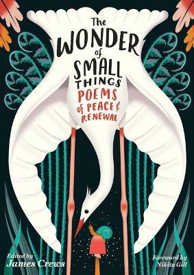 The Wonder of Small Things: Poems of Peace and Renewal - James Crews