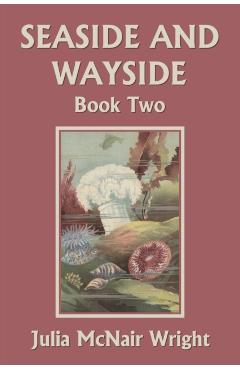 Seaside and Wayside, Book Two (Yesterday's Classics) - Julia Mcnair Wright