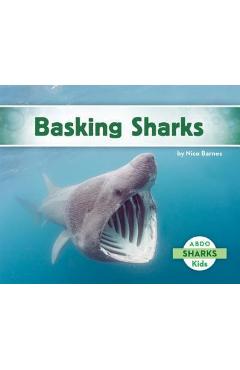 Coperta cărții 'Basking Sharks - Nico Barnes'