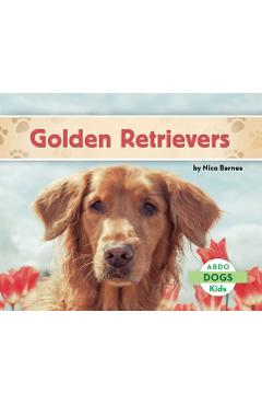 Coperta cărții 'Golden Retrievers - Nico Barnes'