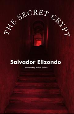 Poza produsului Mexican Literature - Salvador Elizondo