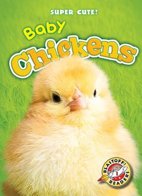 Baby Chickens - Megan Borgert-spaniol