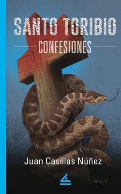 Santo Toribio. Confesiones - Juan Casillas Núñez
