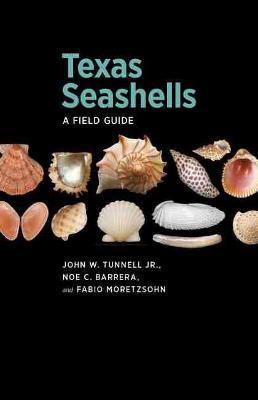 Texas Seashells: A Field Guide - John W. Tunnell