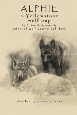 Alphie, a Yellowstone Wolf Pup - Brian A. Connolly
