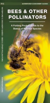 Bees & Other Pollinators: A Folding Pocket Guide to Familiar Species - James Kavanagh