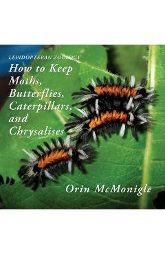 Poza produsului Lepidopteran Zoology: How to Keep Moths, Butterflies, Caterpillars, and Chrysalises - Orin Mcmonigle