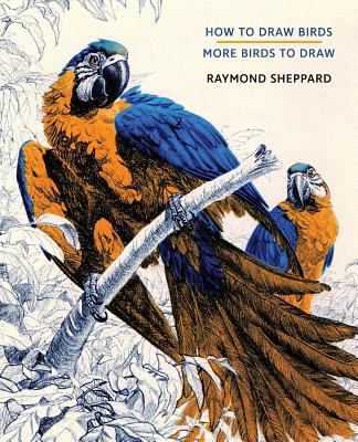 How to Draw Birds / More Birds to Draw - Raymond Sheppard