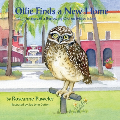 Ollie Finds a New Home, The Story of a Burrowing Owl on Marco Island - Roseanne Pawelec
