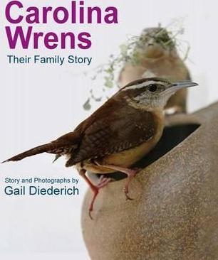 Carolina Wrens: Their Family Story - Gail Diederich
