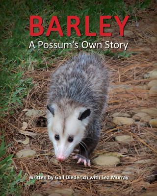 Barley, a Possum's Own Story - Gail Diederich