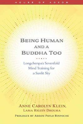 Being Human and a Buddha Too: Longchenpa's Seven Trainings for a Sunlit Sky - Anne Klein