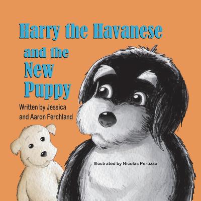 Harry the Havanese and the New Puppy - Jessica Ferchland