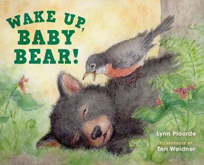 Wake Up, Baby Bear! - Lynn Plourde