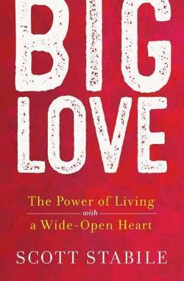 Big Love: The Power of Living with a Wide-Open Heart - Scott Stabile