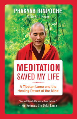 Meditation Saved My Life: A Tibetan Lama and the Healing Power of the Mind - Phakyab Rinpoche