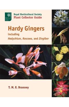 Hardy Gingers: Including Hedychium, Roscoea, and Zingiber - T. M. E. Branney