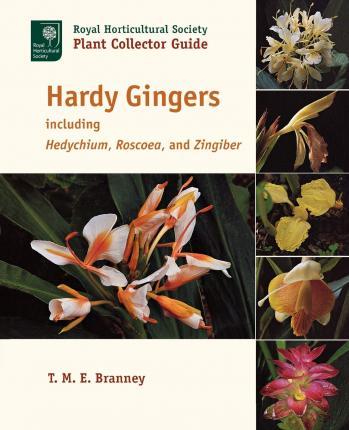 Hardy Gingers: Including Hedychium, Roscoea, and Zingiber - T. M. E. Branney