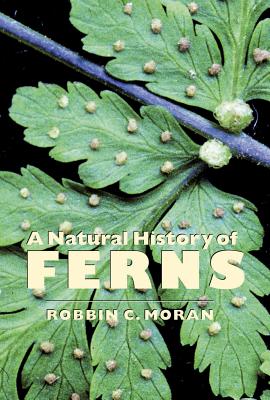 A Natural History of Ferns: A Natural History of Ferns - Robbin C. Moran