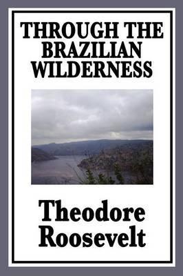 Through the Brazilian Wilderness: Or My Voyage Along the River of Doubt - Theodore Roosevelt