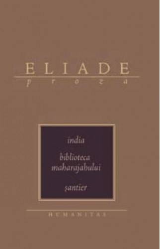India, biblioteca maharajahului, santier - Eliade