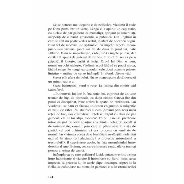 Vasiliu, foi volante - Ion Vianu