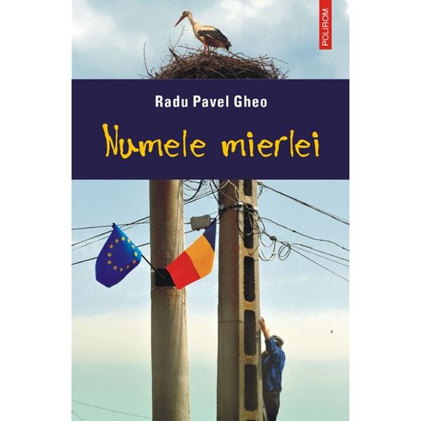 Numele mierlei - Radu Pavel Gheo