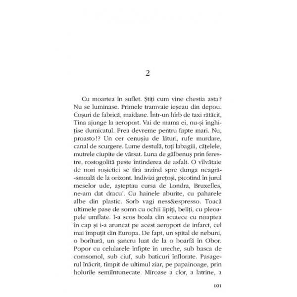 Maestro - Stelian Tanase