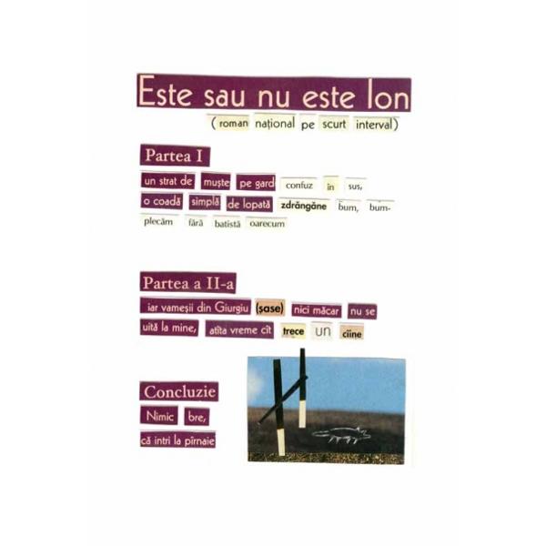 Este sau nu este Ion - Herta Muller
