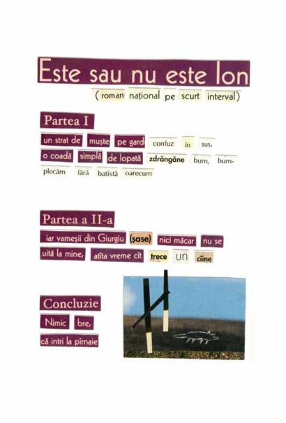 Coperta cărții 'Este sau nu este Ion - Herta Muller'